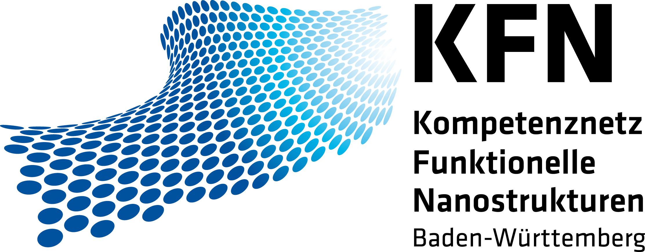 Logo Kompetenznetz Funktionelle Nanostrukturen